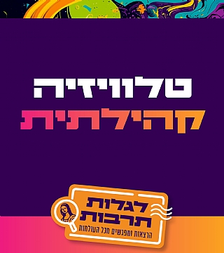 טלוויזיה קהילתית