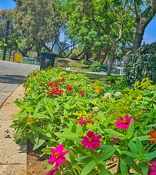 יצירת קשר