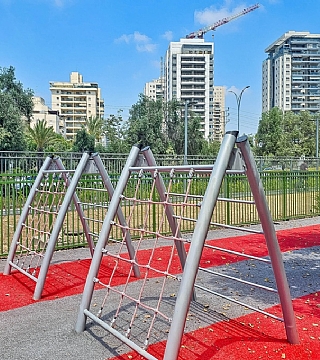 דבר המנהל